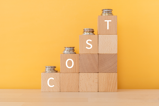 高額な 導入・運用コスト（CAPEX/OPEX）