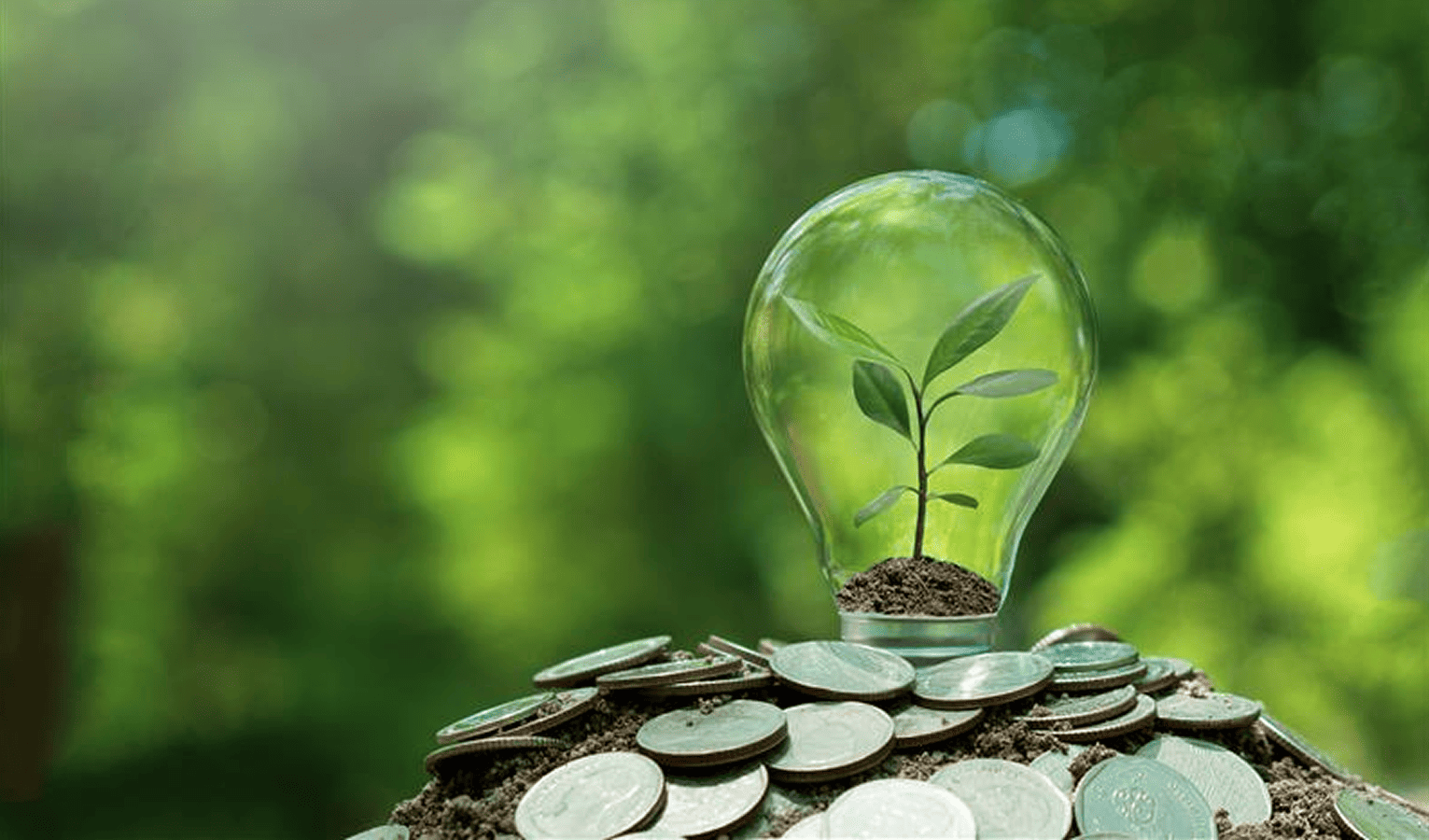 省エネの費用対効果抜群